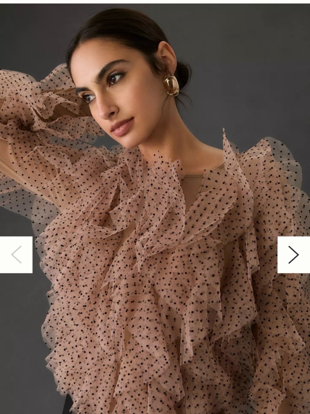 NWT never worn Anthropologie Dolan Left Coast Mesh Ruffle Top size small